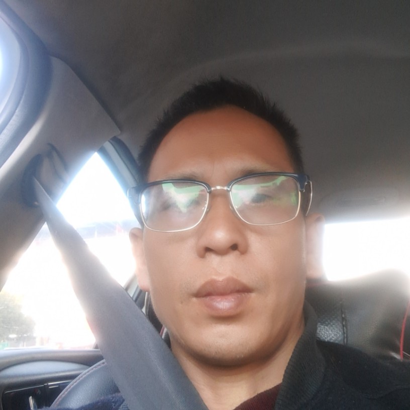 小海豚吃醋健忘的照片