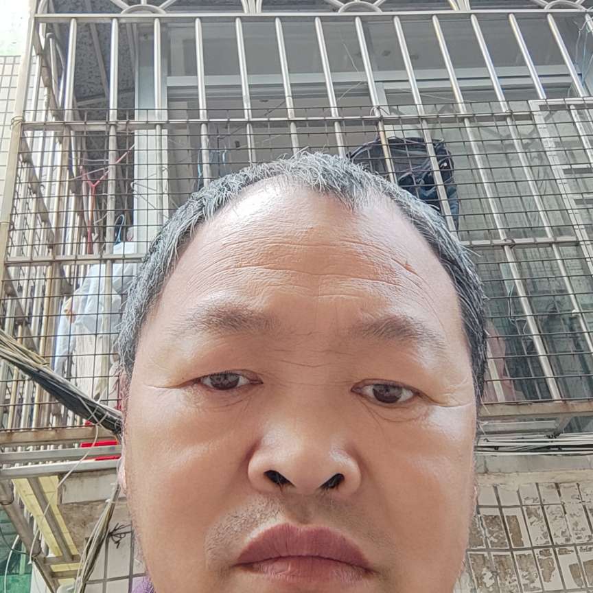 负责拿白羊的照片