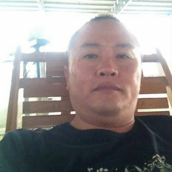 海上森林的照片