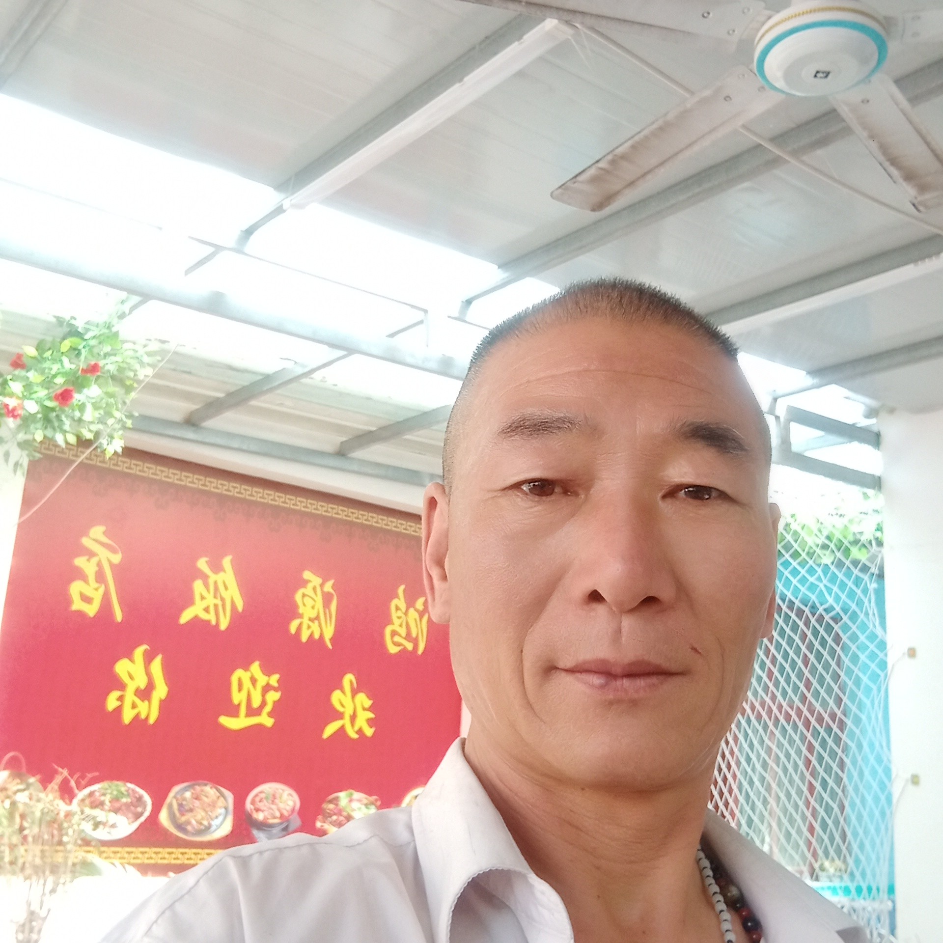 拼搏琉璃傲气雄鹰的照片