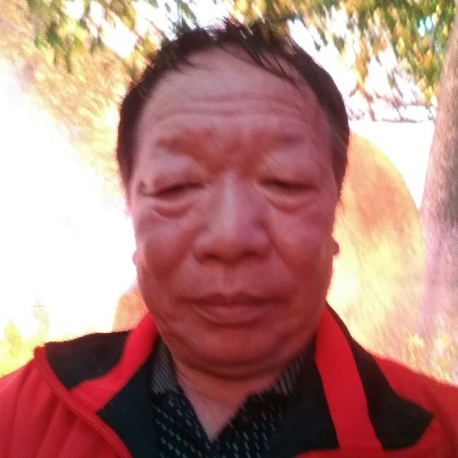 平淡一身的照片