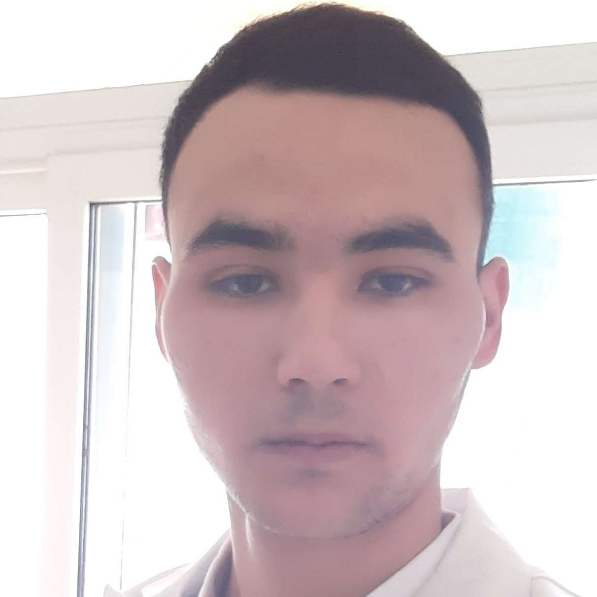 航空放弃落拓的照片