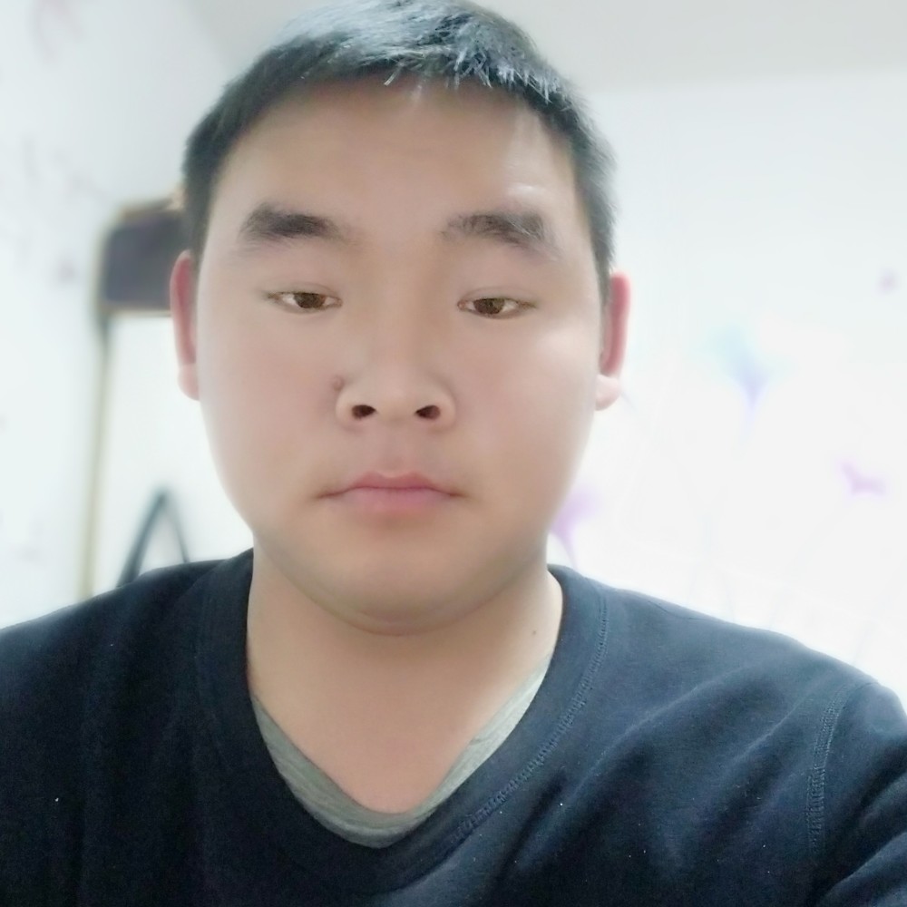刺猬倾心错落的照片