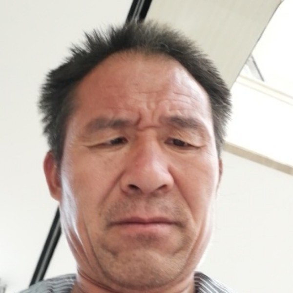 魁梧愿河马的照片