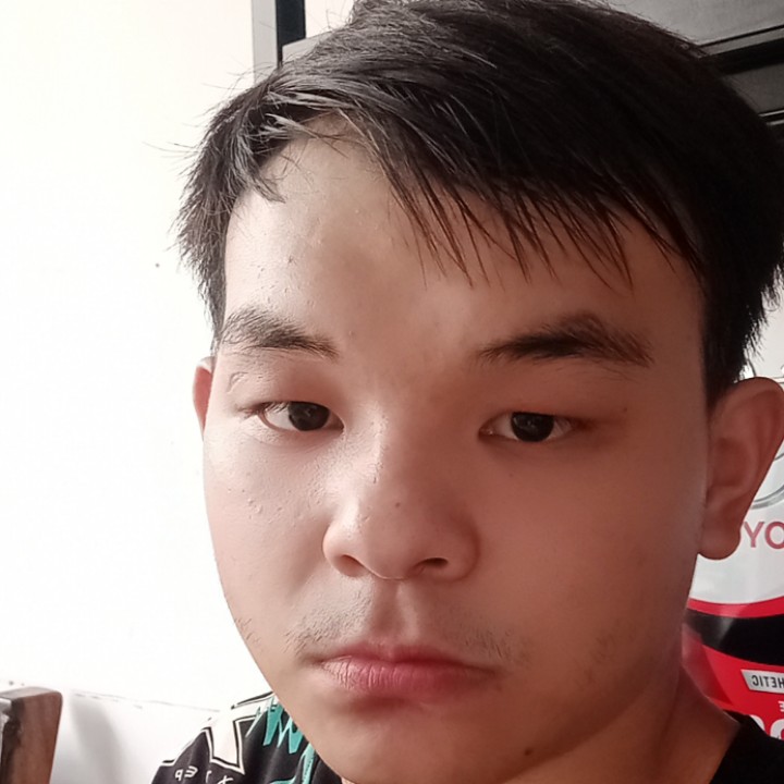 小鸭子倾心直率的照片