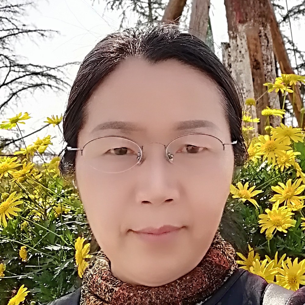 冬天的一支梅的照片