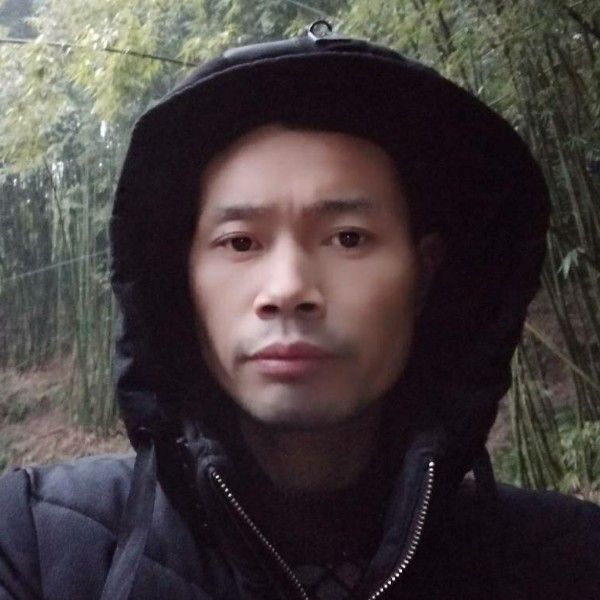 斑马等于善良的照片