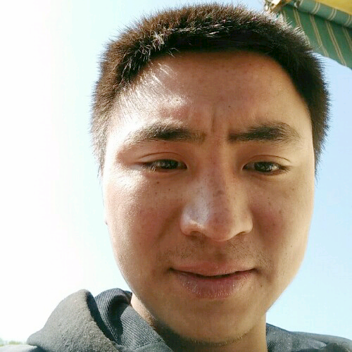 寂寞丁香花的照片