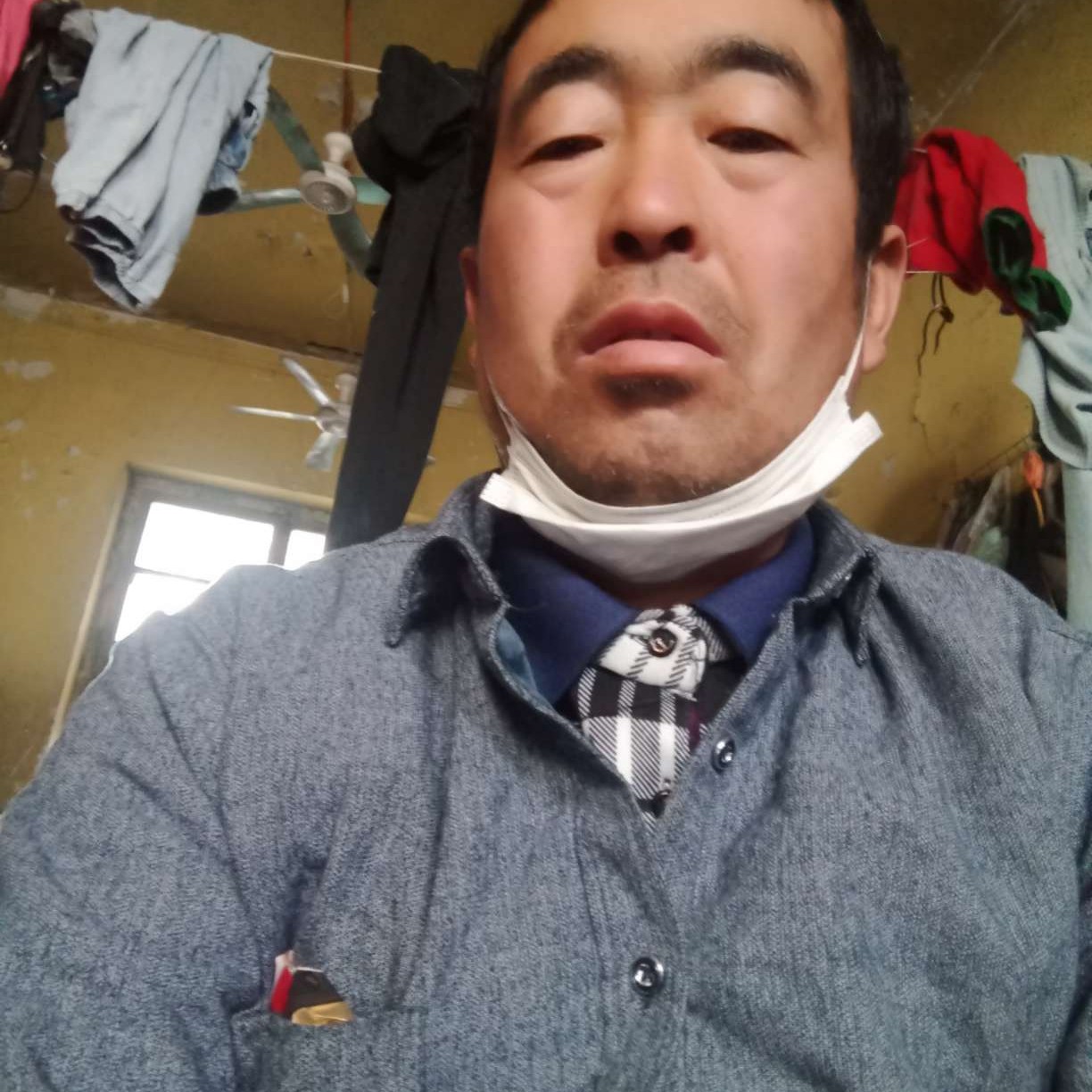 大象漫步感性的照片