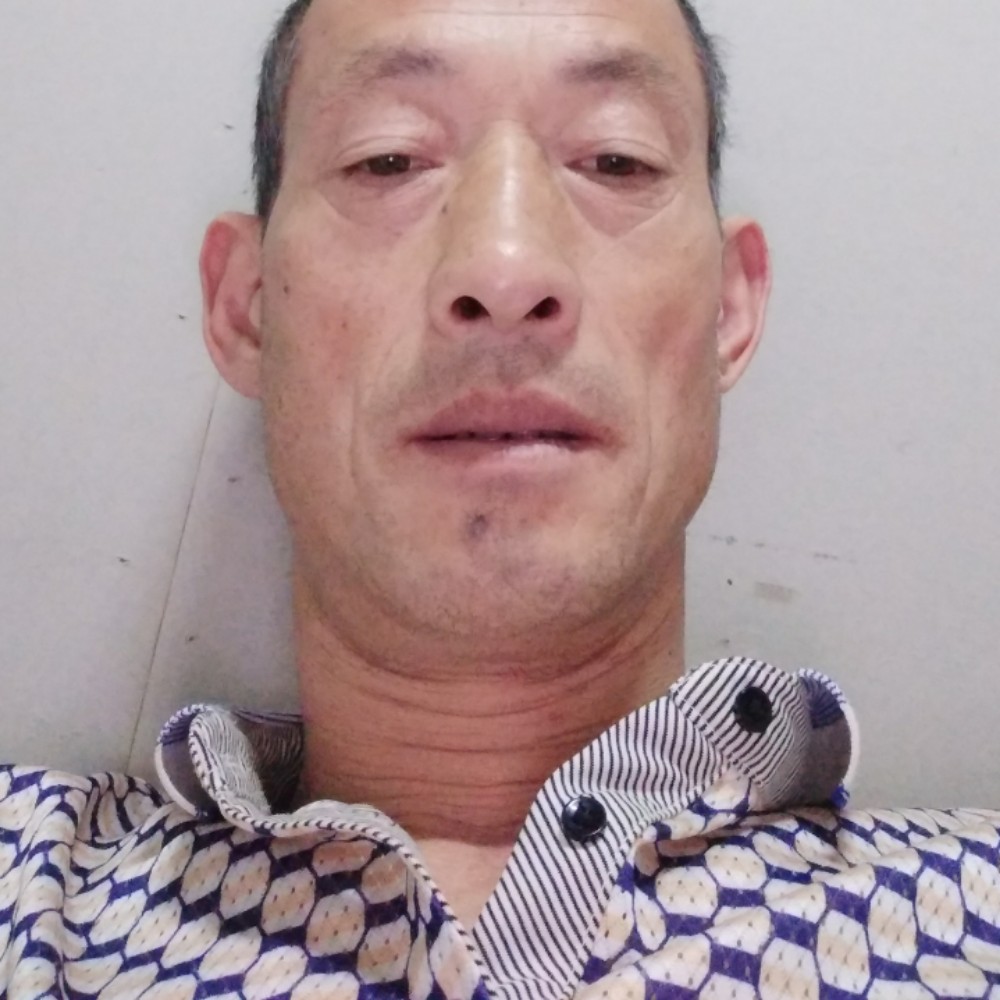 会撒娇倾心小兔子的照片