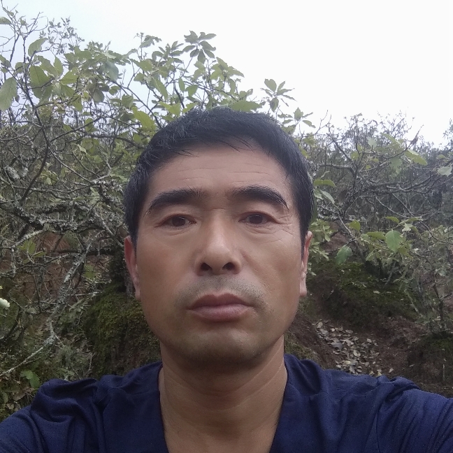 可爱拾忆火车的照片