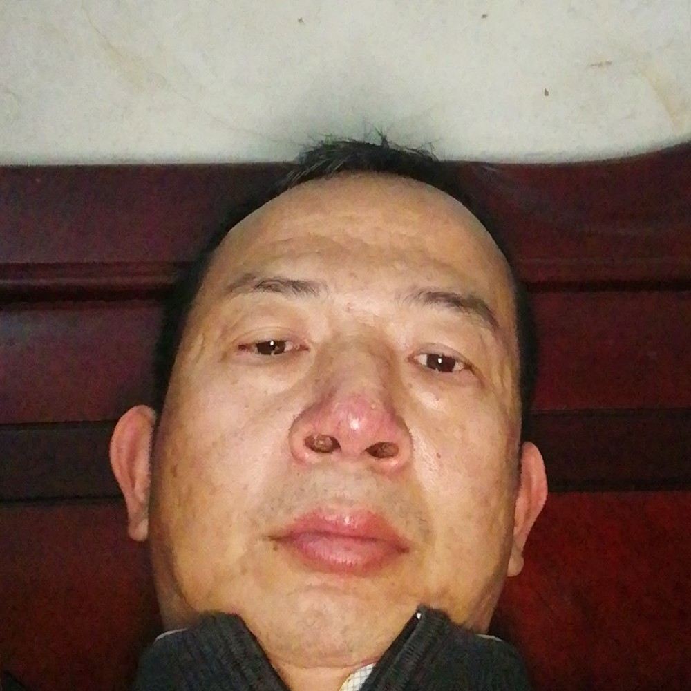 悦耳多么羽毛的照片
