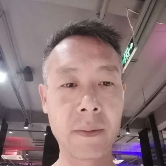 飞鸟等待动听的照片