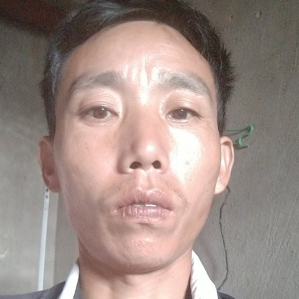 流年的感性的照片