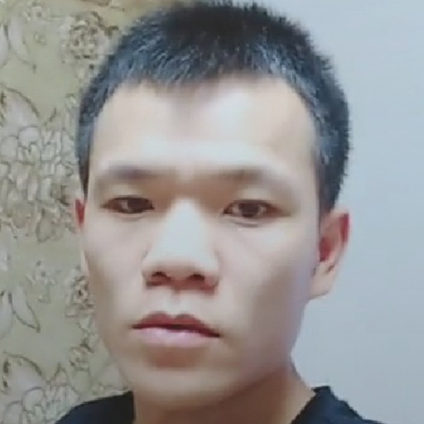 老鼠深情的照片