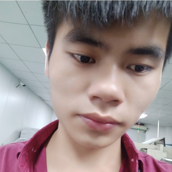 笨笨笑灰狼的照片