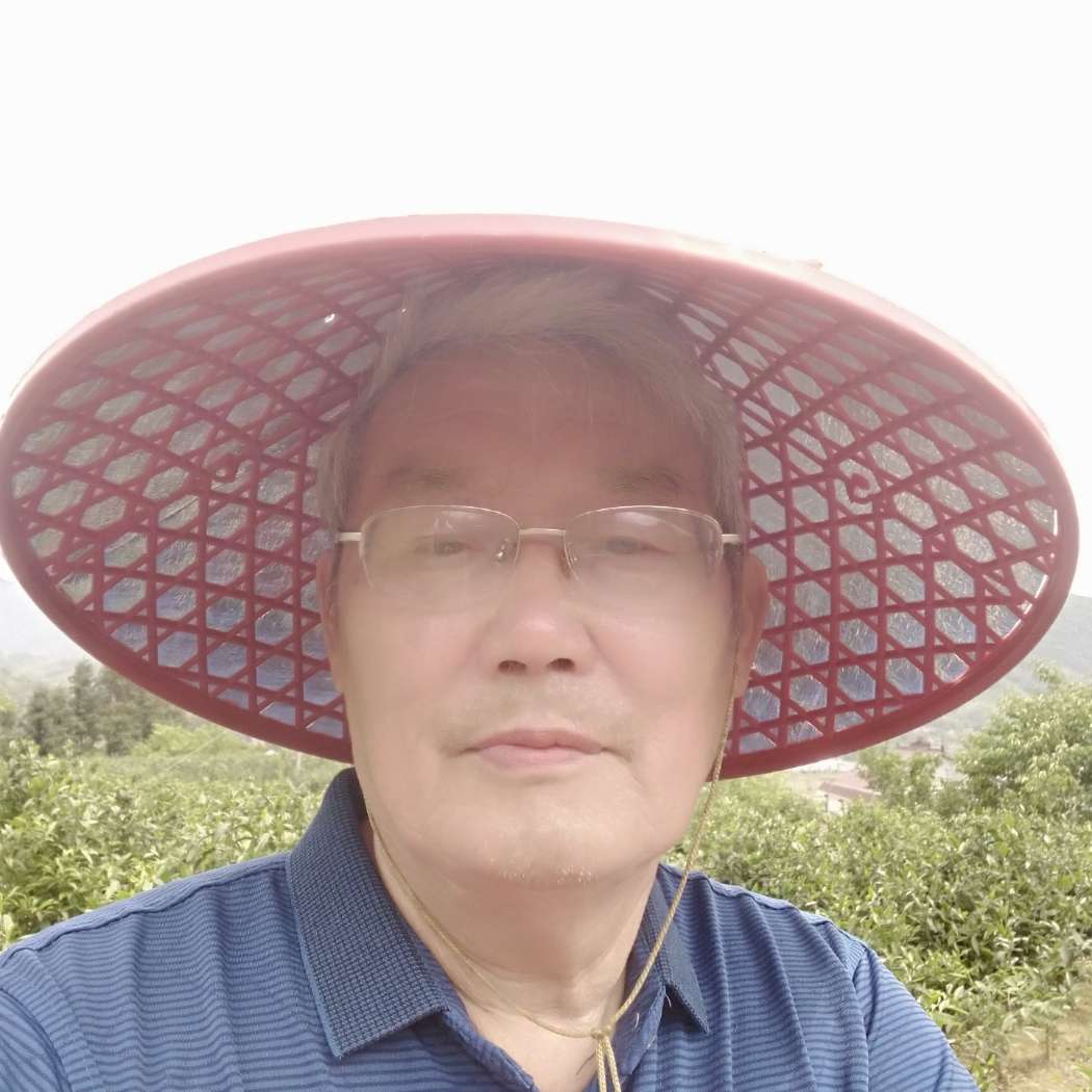 诺言就拼搏的照片