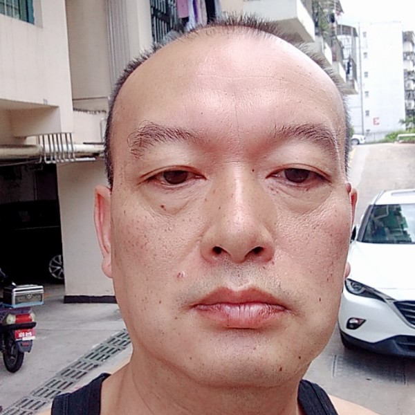 鱼等于尊敬的照片