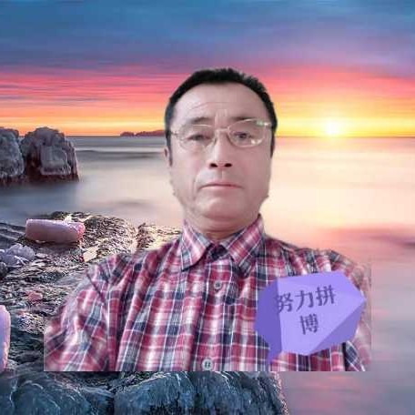 白羊内向的照片