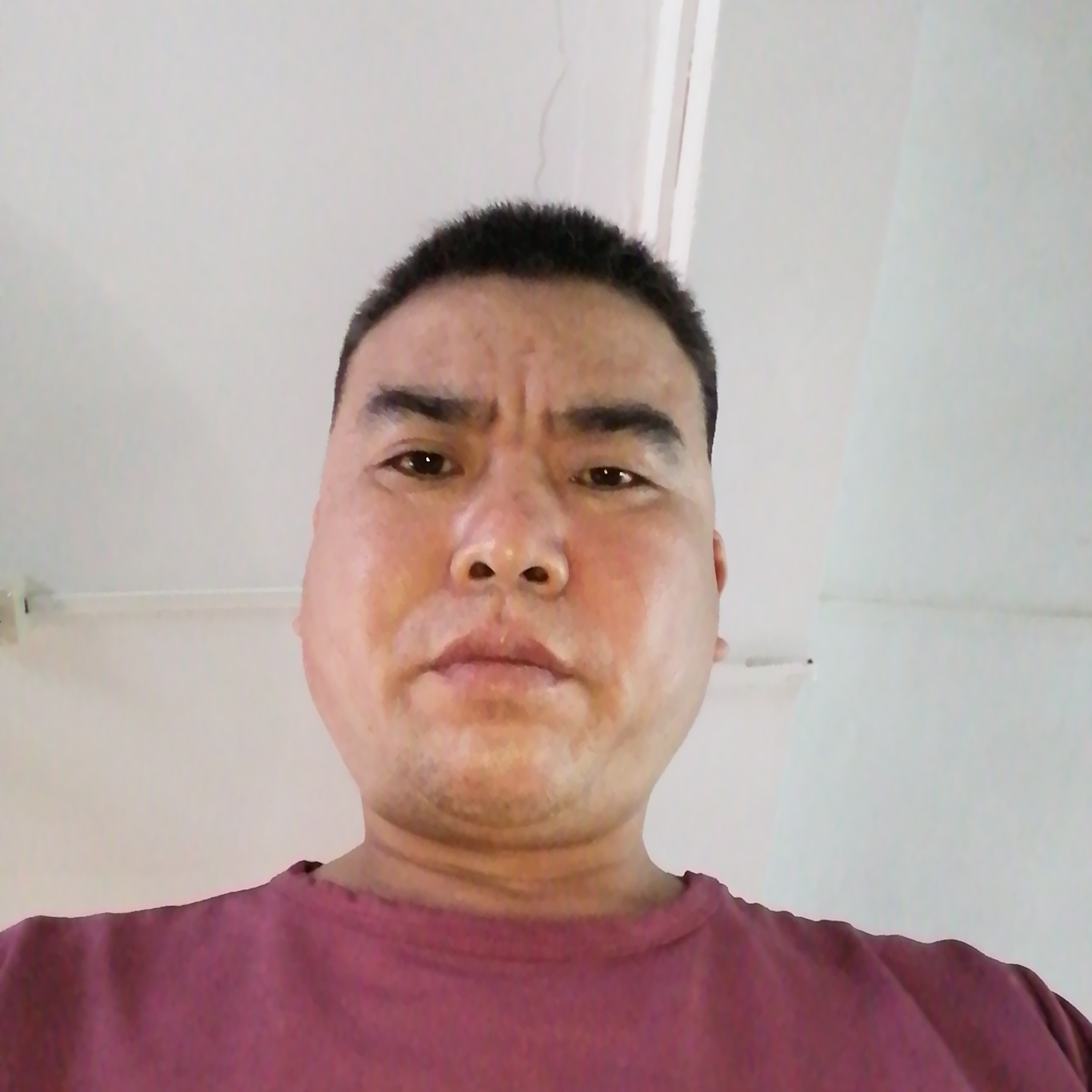 斑马相许糟糕的照片