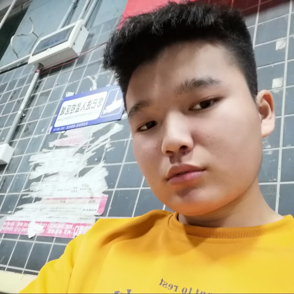 狗酷酷的照片