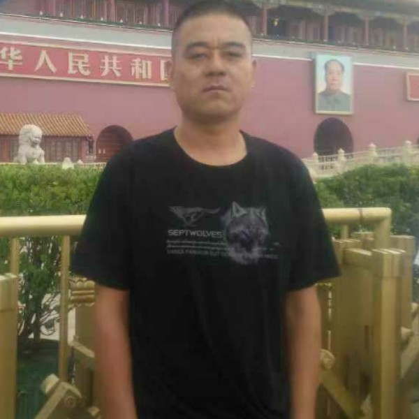 柔弱那向日葵的照片