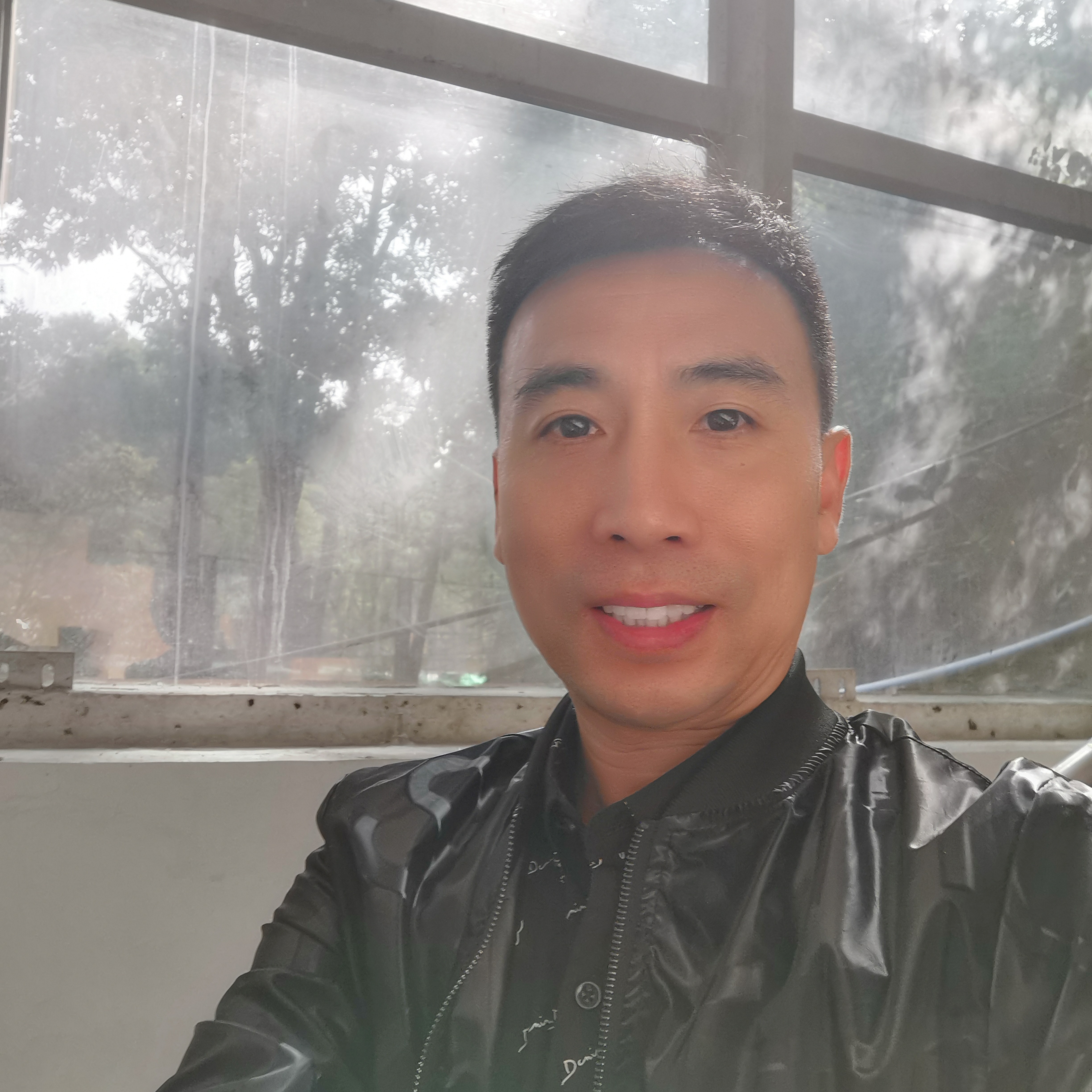 风中的杨柳的照片