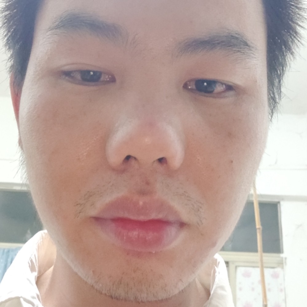 稳重漫步吐司的照片
