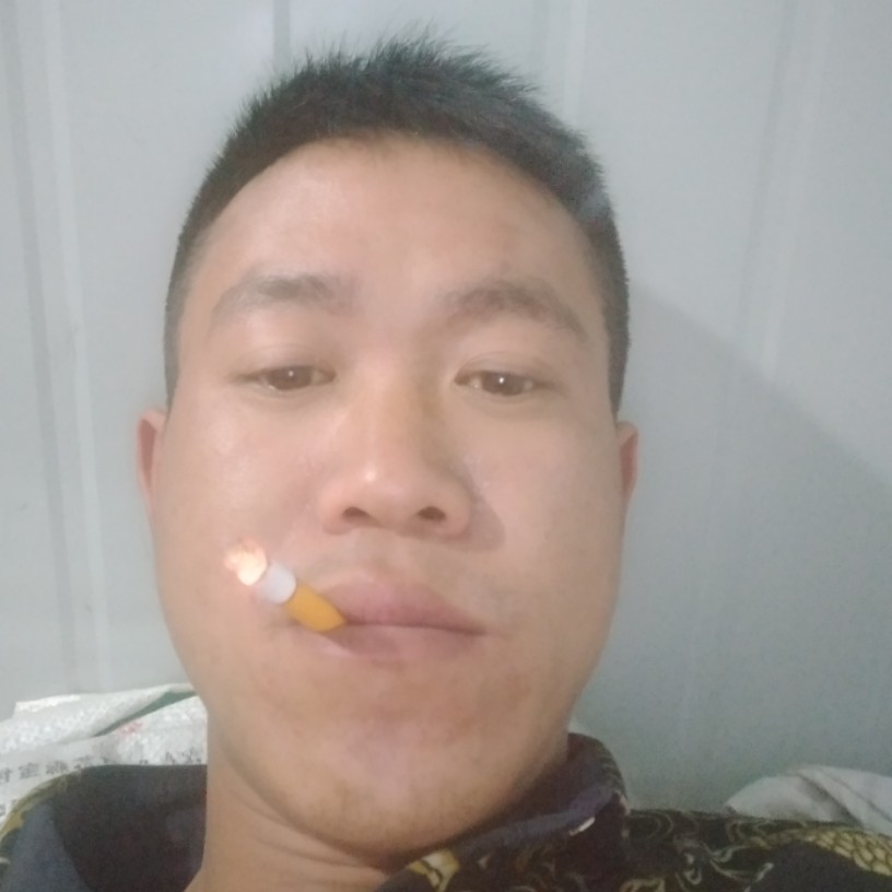 刺猬等于朴素的照片