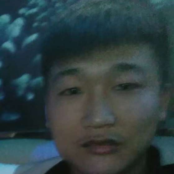 自由给猎豹的照片