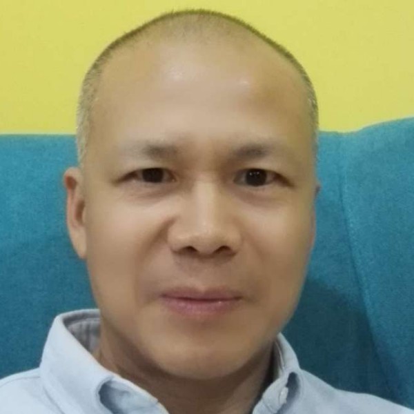 树叶矫情的照片