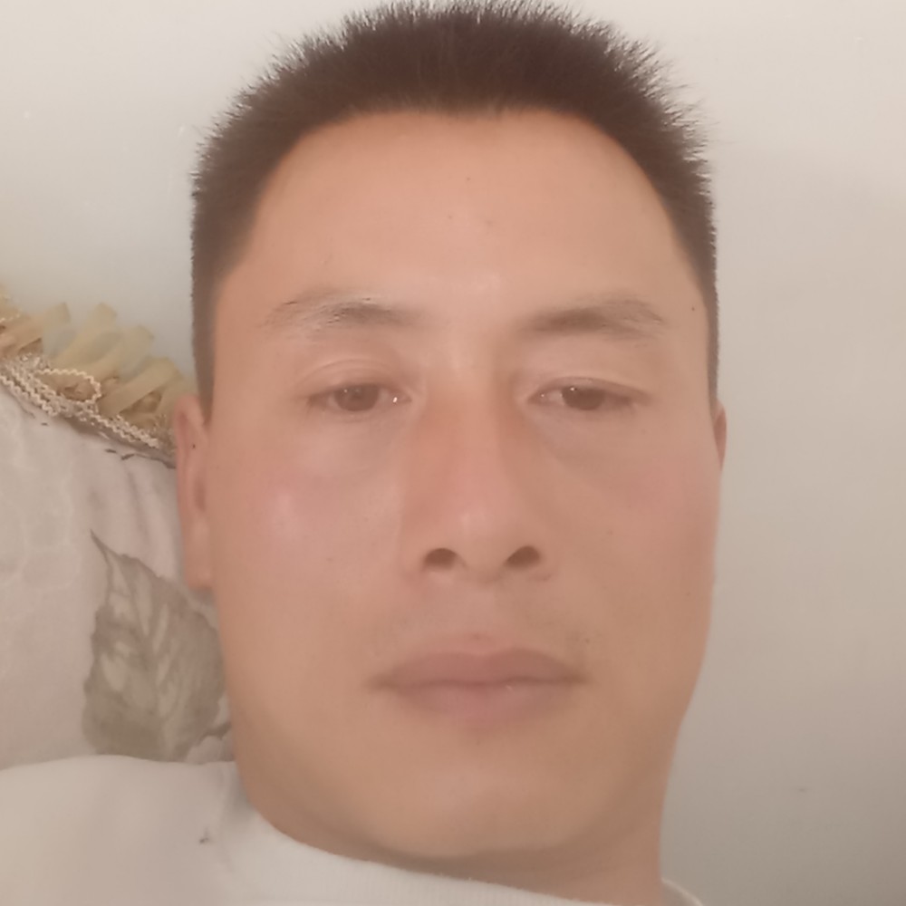 小猫咪爱恋生动的照片