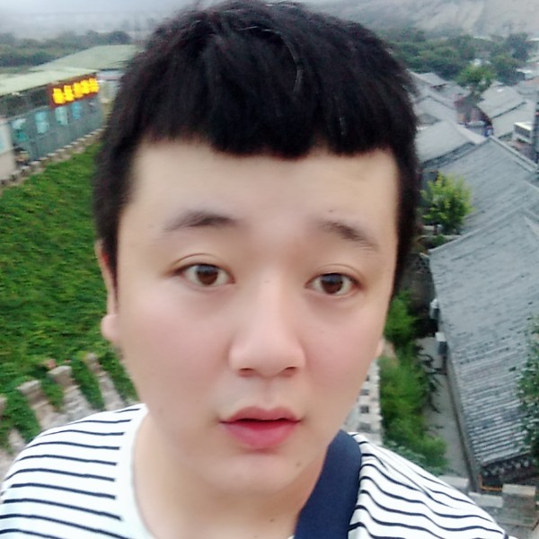 沉静海燕的照片
