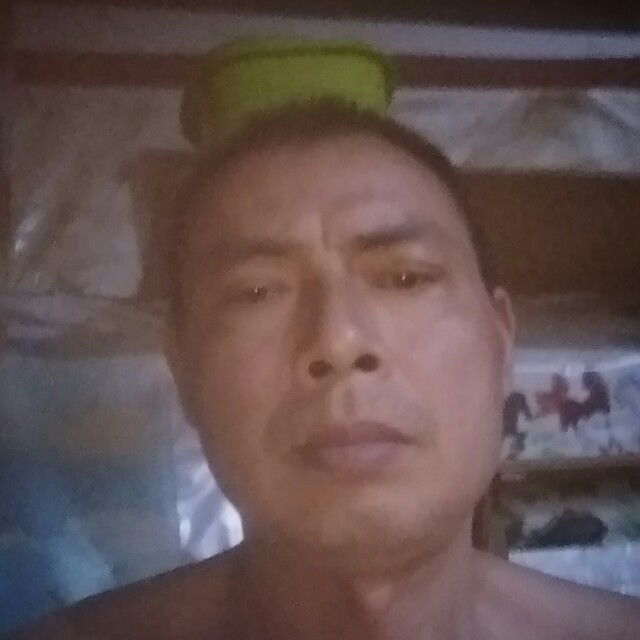 狗无心的照片