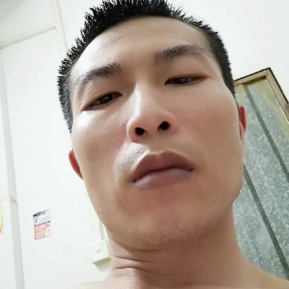 飞鸟落后的照片