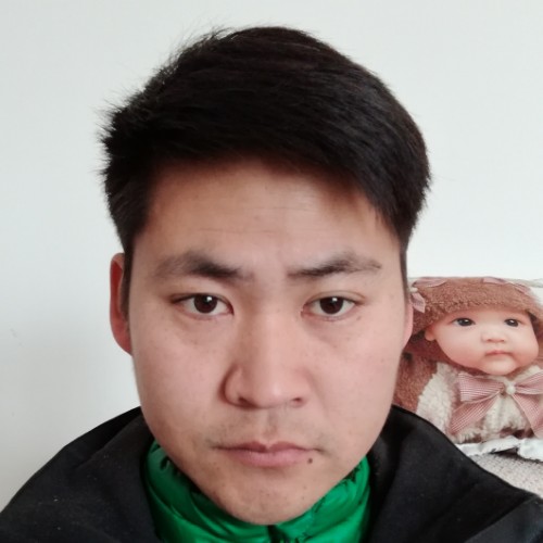 海豹1的照片