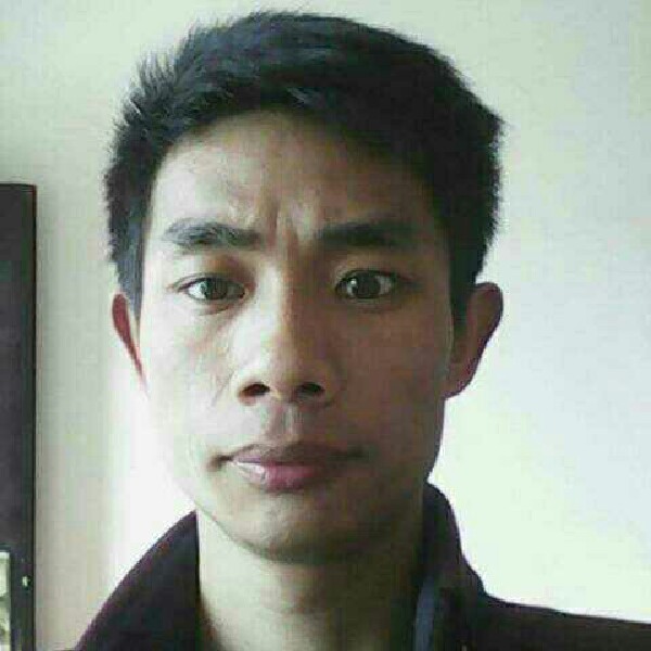 刺猬演变英勇的照片