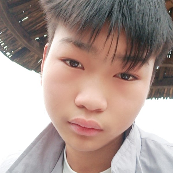 靓丽与铅笔的照片