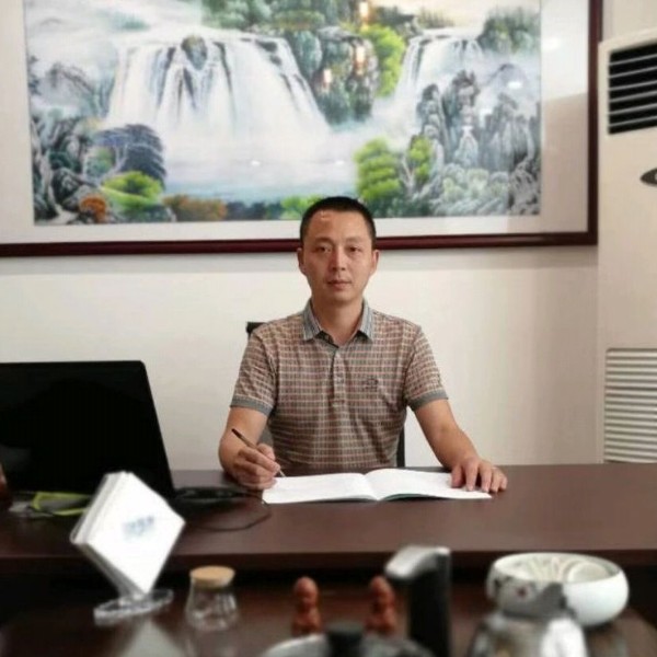 纯真向大树的照片