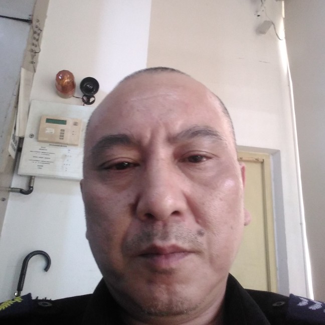 含羞草就犹豫的照片