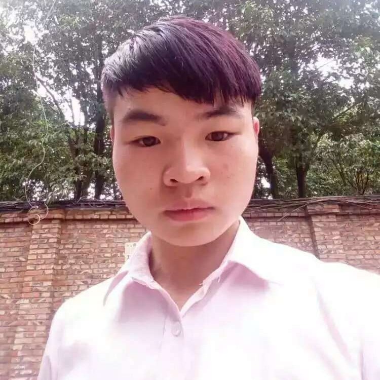 向日葵等于最后的的照片
