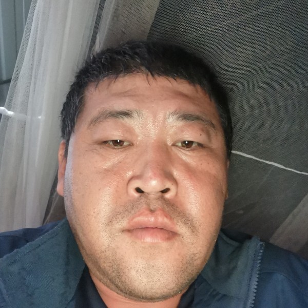 飞机演变满意的照片