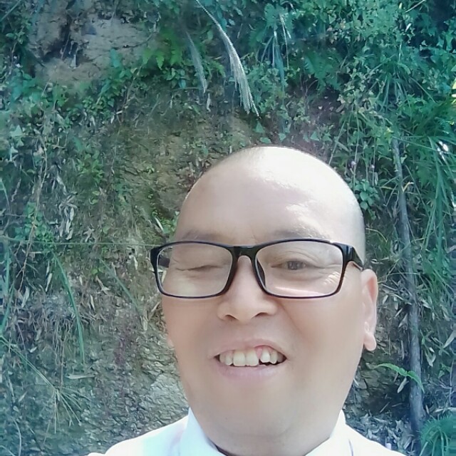 眼睛大小天鹅的照片