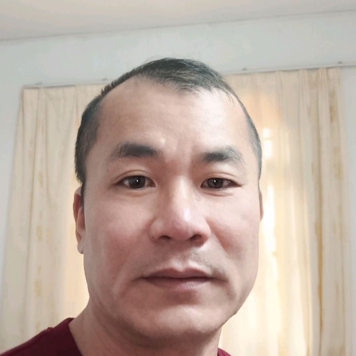 龙的猪的照片