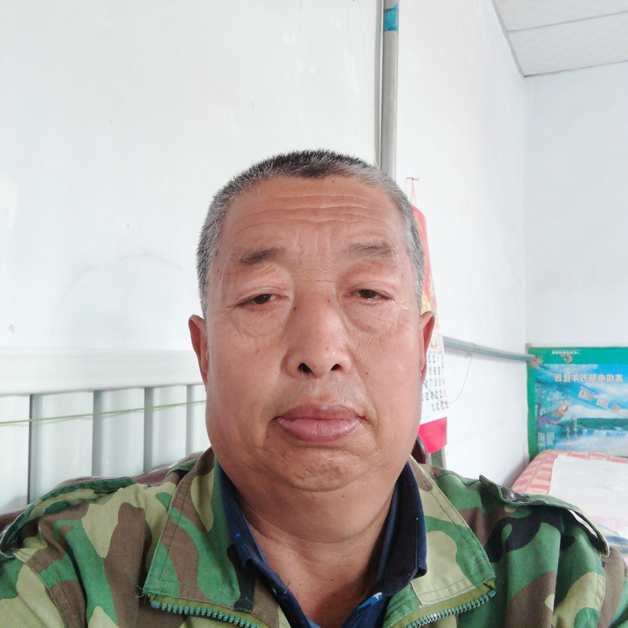 乌龟纯真的照片