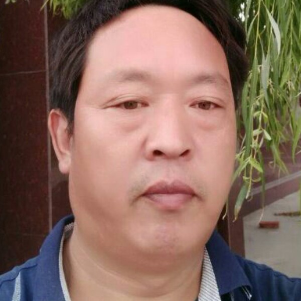钻石正直的照片