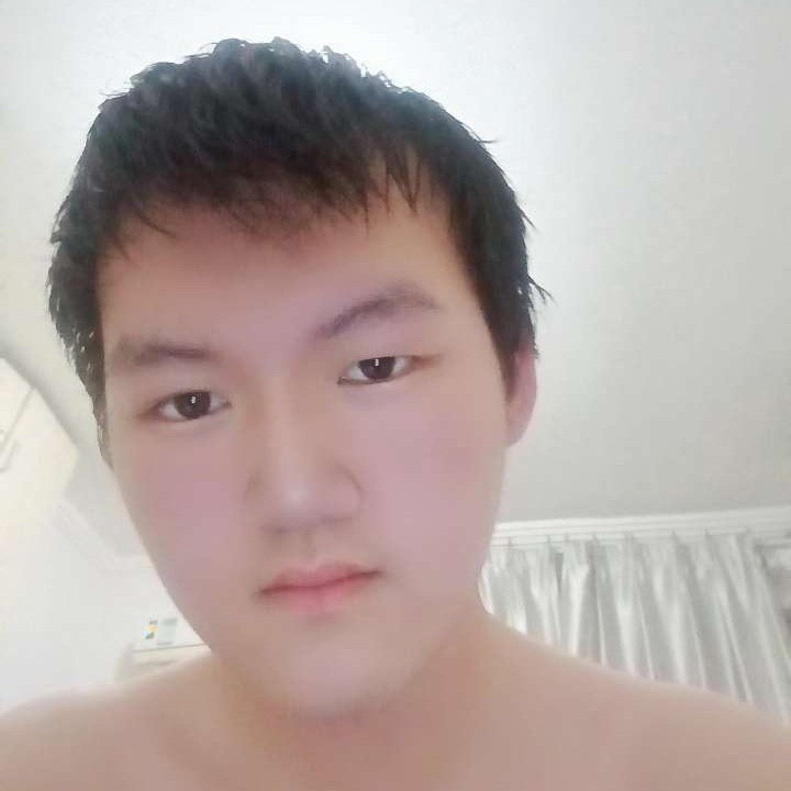 想要小猫的照片