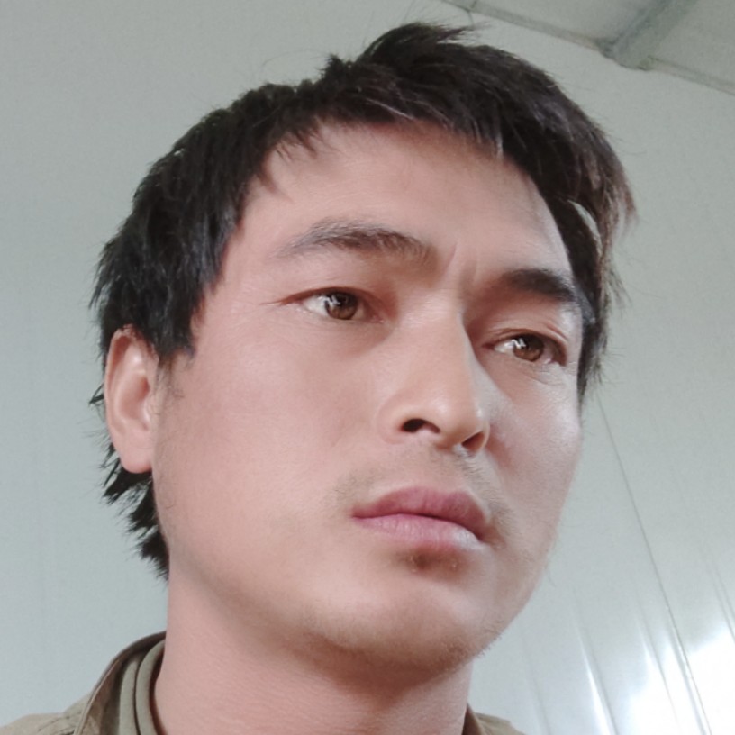 每天工作。的照片