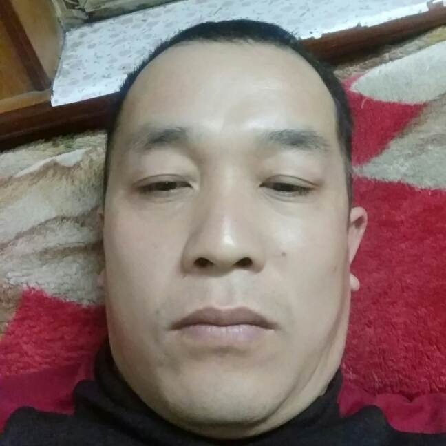 自由绿草1的照片
