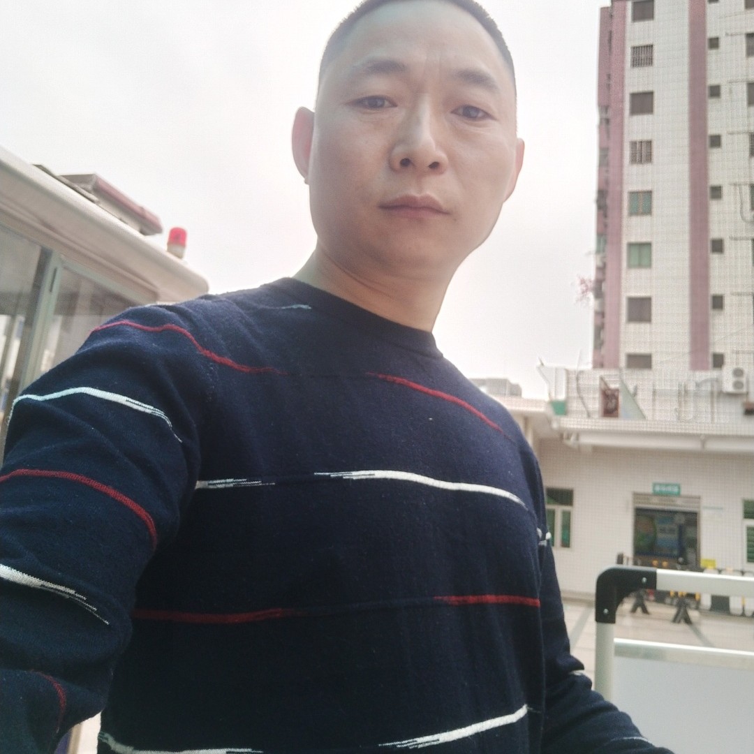 阳光与夏露的照片